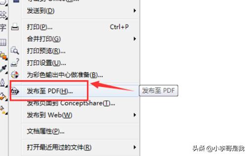 CDR如何導出PDF？  第4張